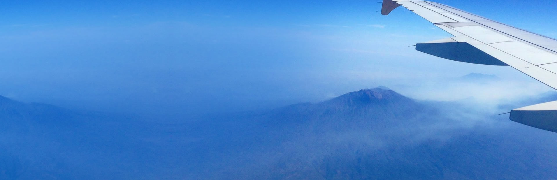 PROFESSIONAL SERVICE & SUPPORT