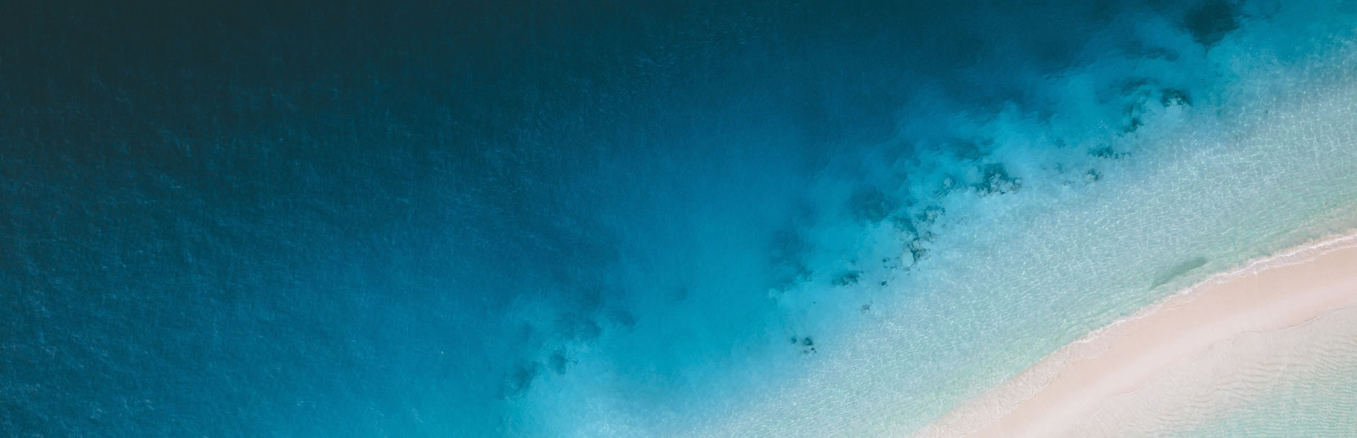 COMPLETE VARIETY OF OUR PRODUCTS