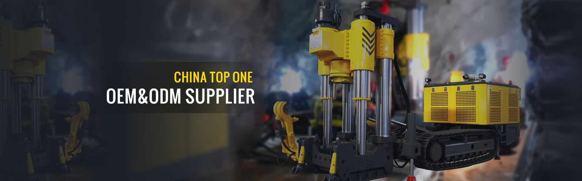 PROFESSIONAL SERVICE & SUPPORT