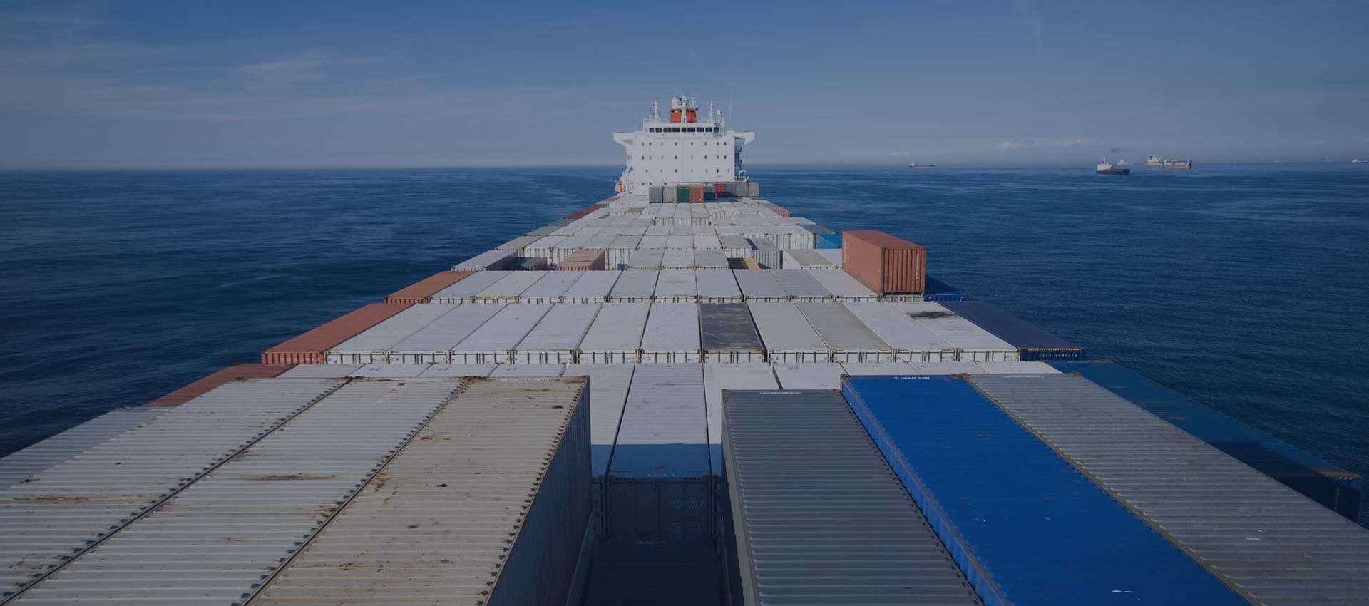 INTERNATIONAL EXPERIENCE