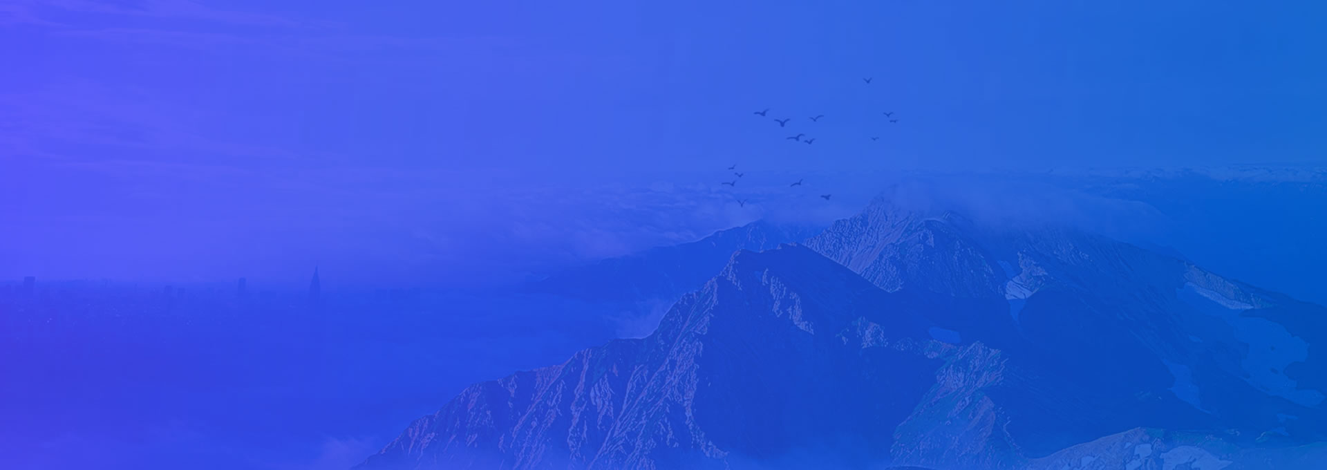 COMPLETE VARIETY OF OUR PRODUCTS